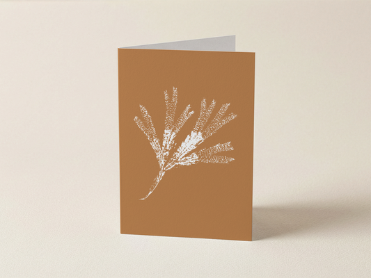 Seaweed Print 01  - Mini Card