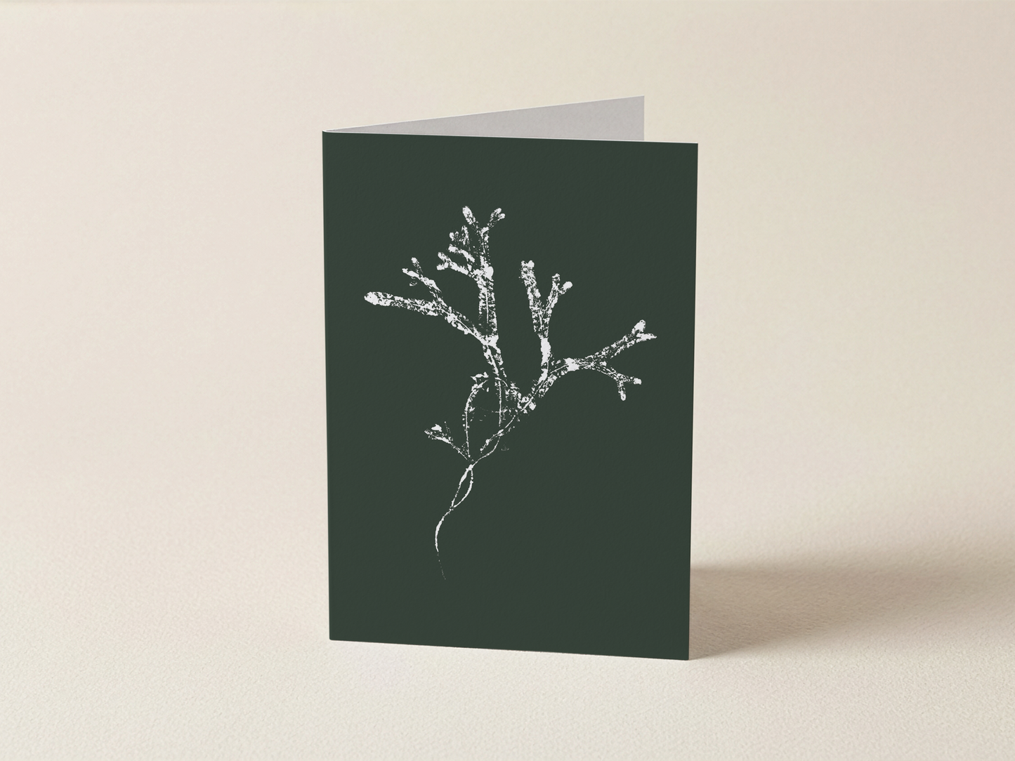 Seaweed Print 03  - Mini Card