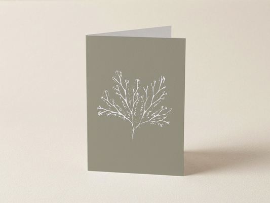 Seaweed Print 04  - Mini Card