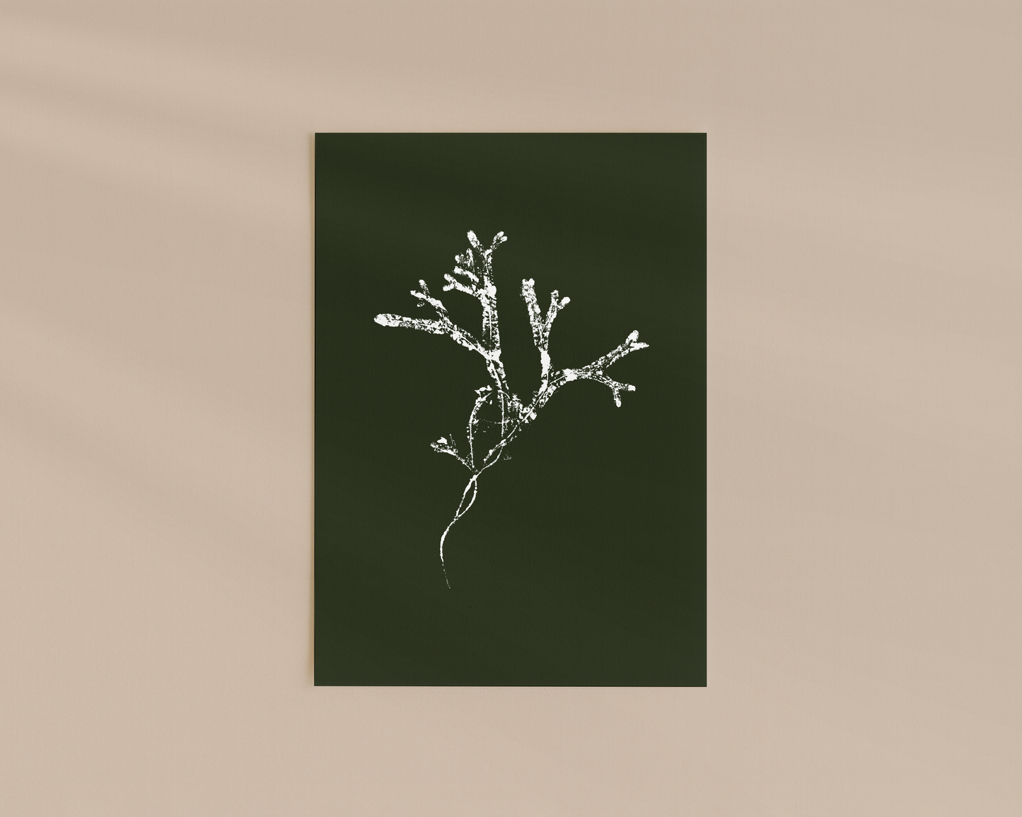 Art Print - Seaweed Print 03